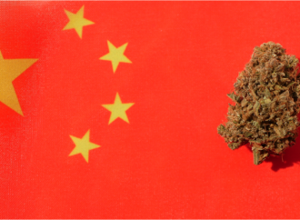 Benzinga.com: Stojí čínská komunistická strana za nezákonným pěstováním marihuany v USA? Kongres chce odpovědi!