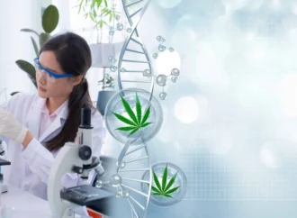 Cannabisindustrie.nl: Za posledních 10 let bylo provedeno více než 32 000 studií o konopí, tisíce v roce 2023