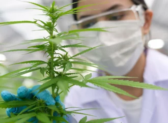 Businessofcannabis.com: Globální exploze lékařské marihuany se blíží
