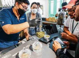 Samaa.tv: Thajsko chce do prosince zakázat užívání Cannabis pro rekreační účely