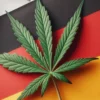 Msn.com: Německo částečně legalizuje marihuany. Bartoš: Česko by mělo příklad následovat