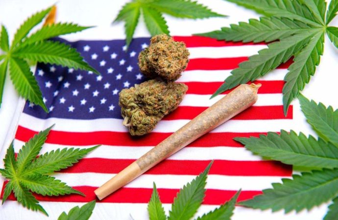 Cannabisbusinessexecutive.com: Změna v americkém mezistátním prodeji konopí