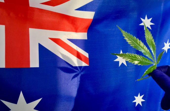 Harris-sliwoski.com: Austrálie Cannabis – Aktualní stav legislativy pro rekreační využití