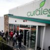 Businessofcannabis.com: Curaleaf oznamuje akvizici a otevírá si dveře pro evropskou expanzi