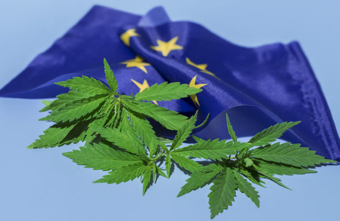 Cannabishealthnews.co.uk: EU signalizuje rostoucí posun v přístupu k reformě konopí