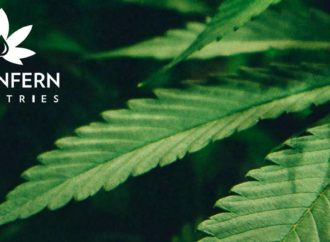 Scoop.co.nz: Novozélandský Greenfern oznamuje export lékařské marihuany