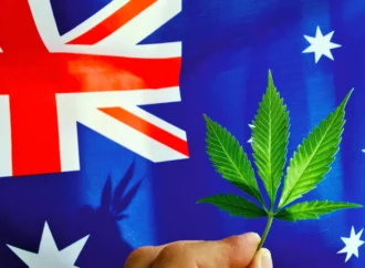 Austrálie – Většinová podpora dekriminalizace konopí ve Victorii