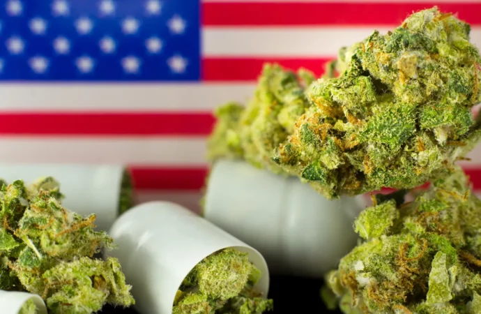 Uk.investing.com: Konopný průmysl reaguje na Bidenovu výzvu o historickém stavu Unie po Cannabis reformě